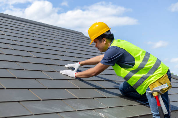 Best Roof Inspection Near Me  in Louisburg, KS