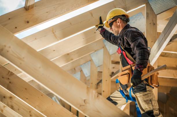 Best Roof Gutter Cleaning  in Louisburg, KS