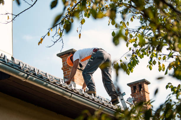 Quick and Trustworthy Emergency Roof Repair Services in Louisburg, KS