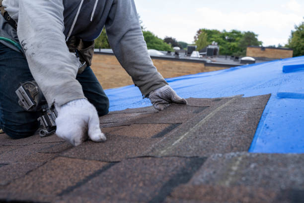 Best Residential Roofing Contractor  in Louisburg, KS