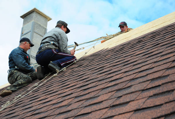 Best Roof Repair Services  in Louisburg, KS