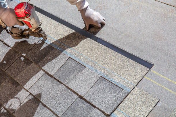 Best Storm Damage Roof Repair  in Louisburg, KS